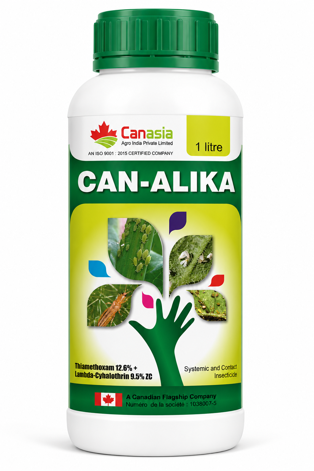 CAN-ALIKA