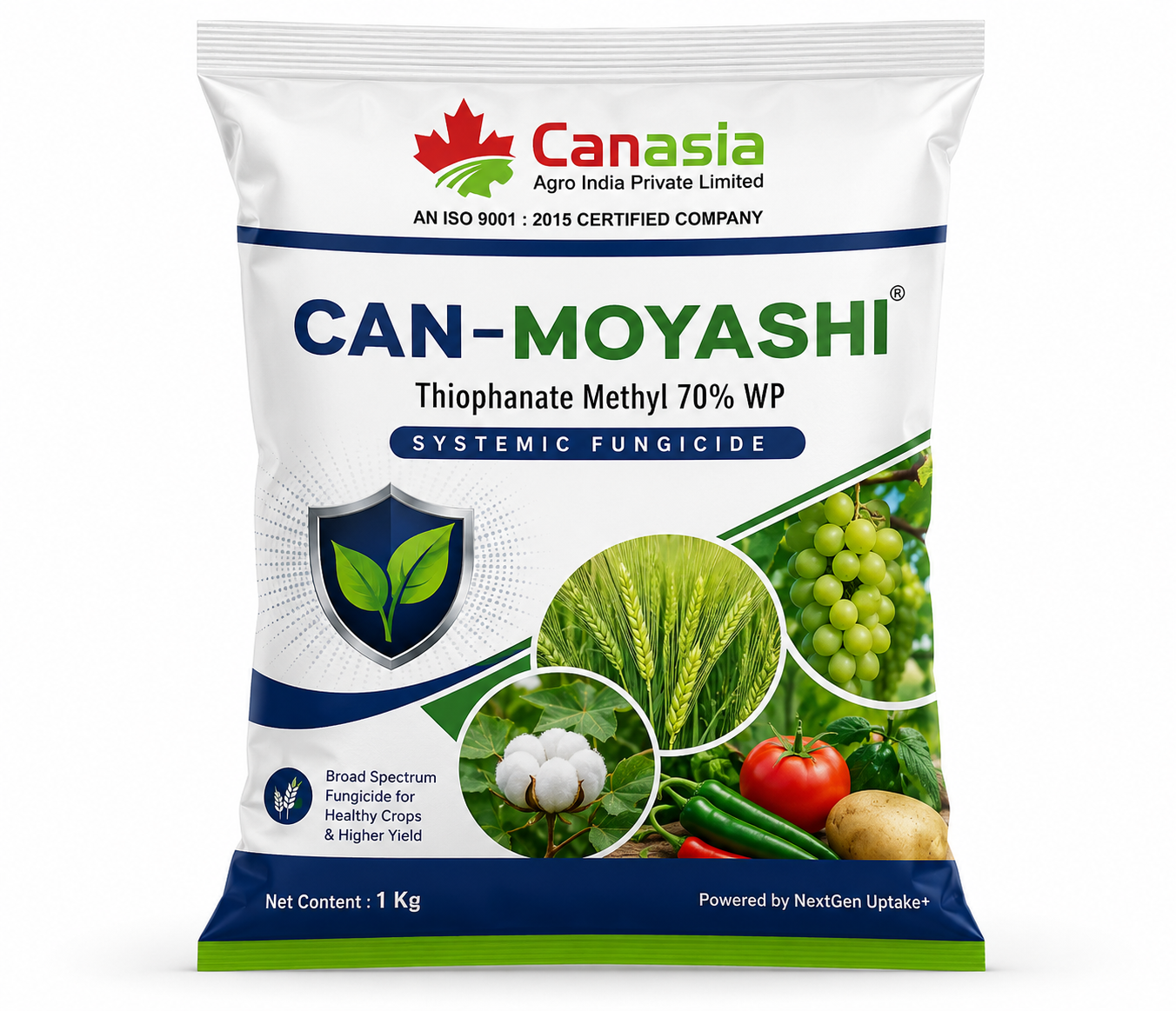 CAN-MOYASHI