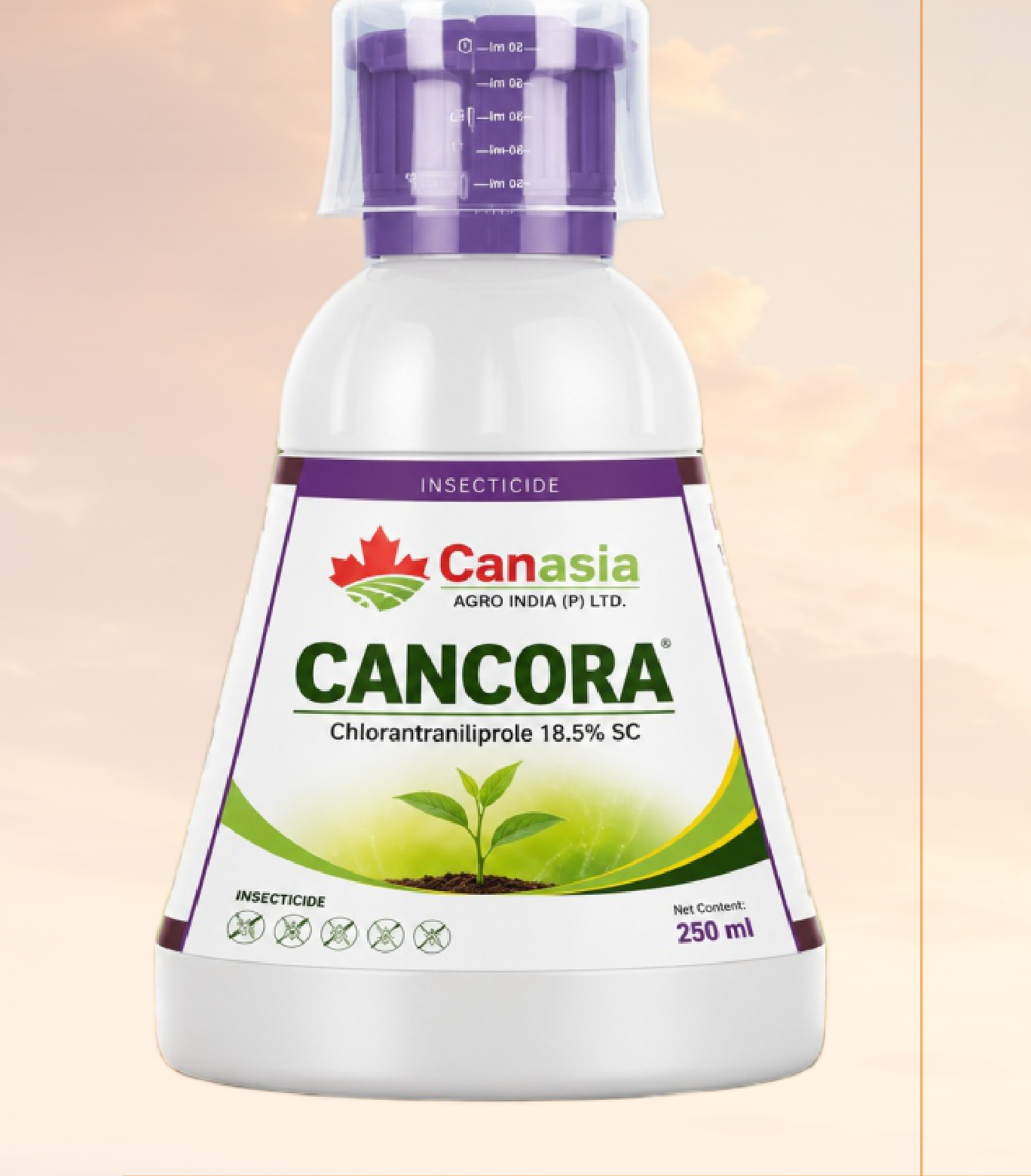 Cancora