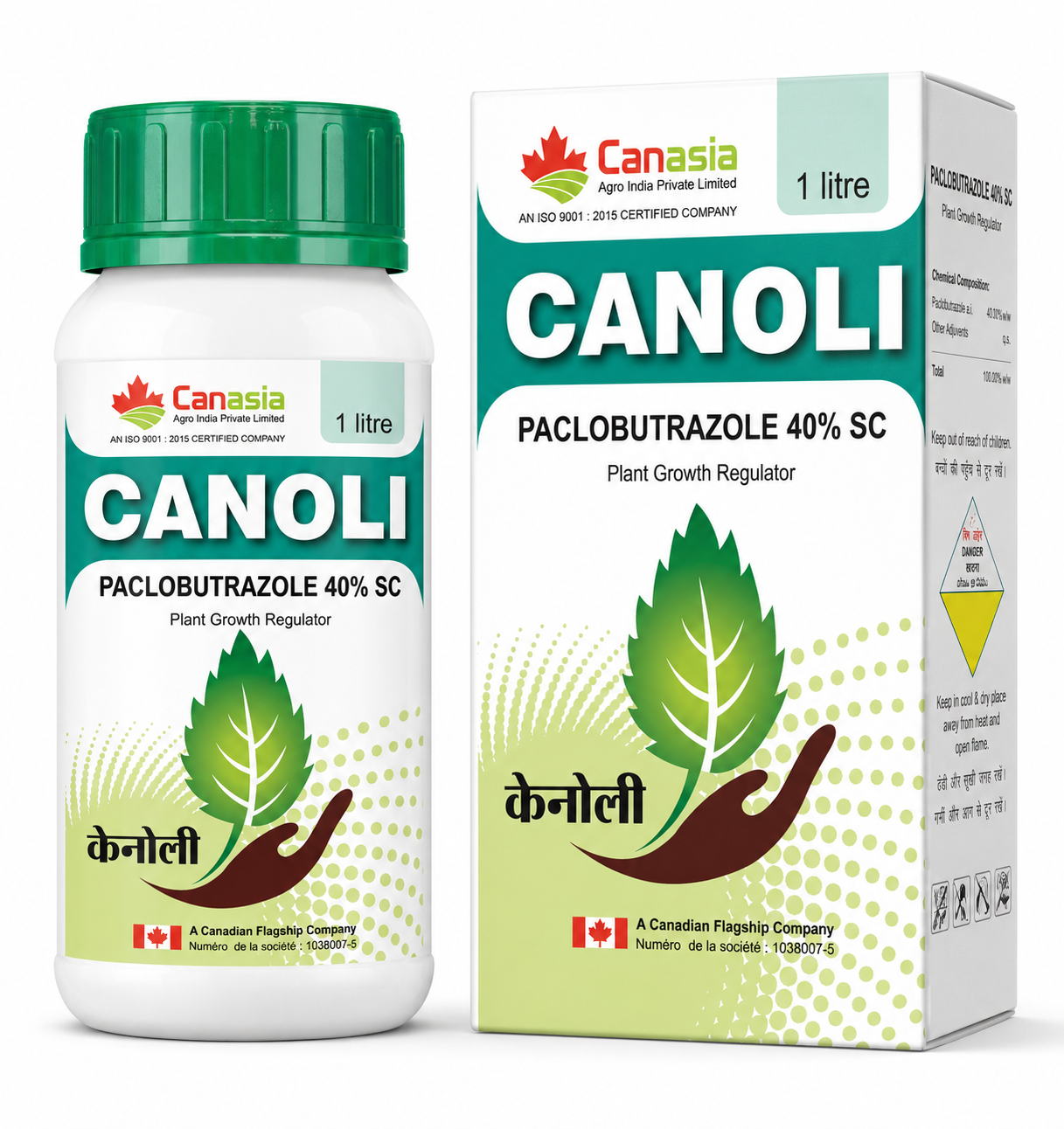 CANOLI