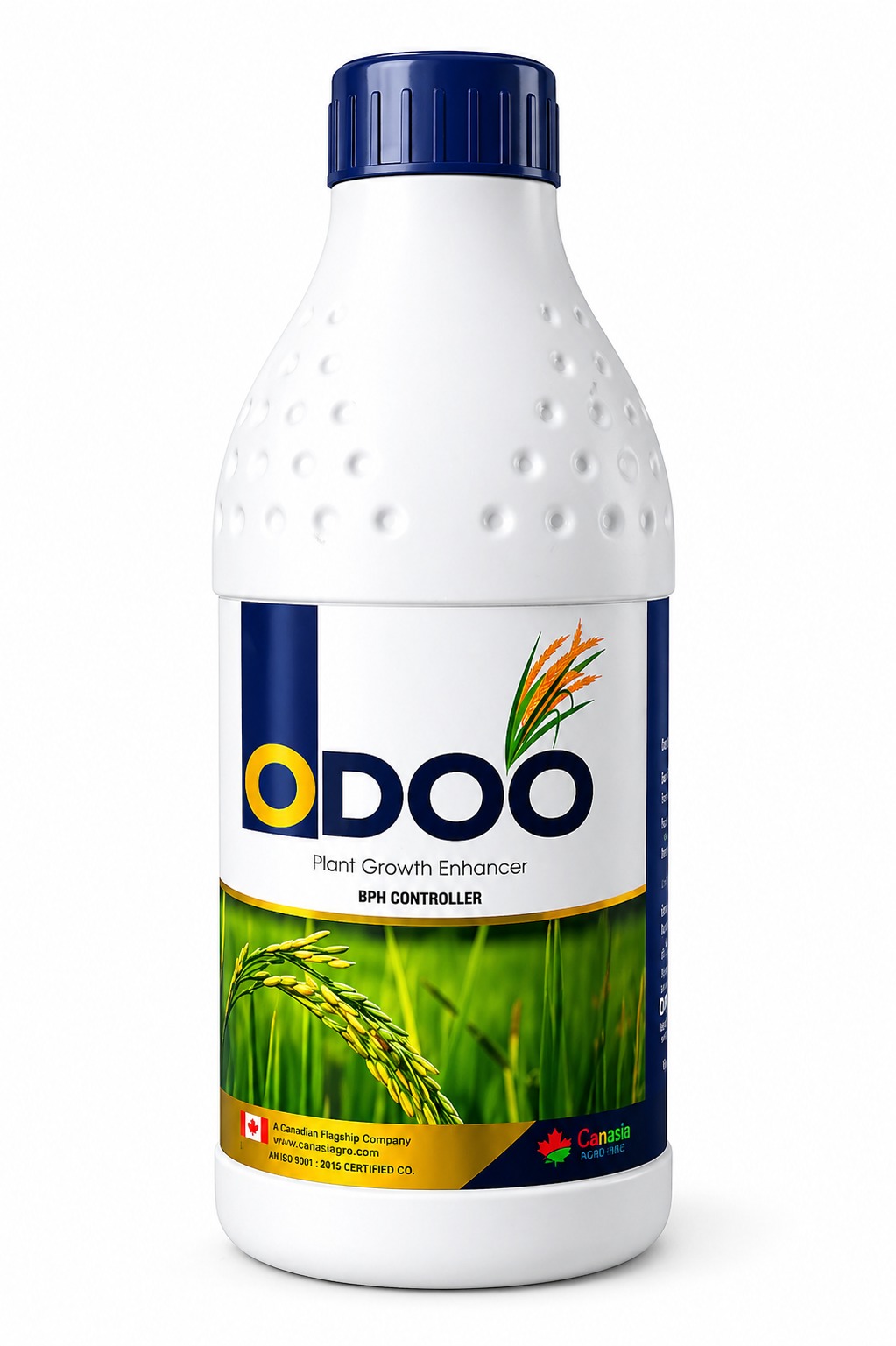 ODOO